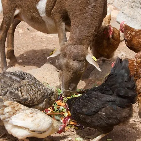 Siempreviva Vakantiehuis