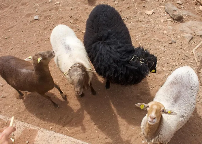 Casa vacanze Siempreviva