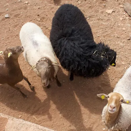 بيت للعطل Siempreviva